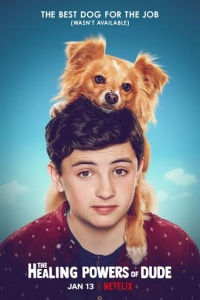 Целебные силы дружка